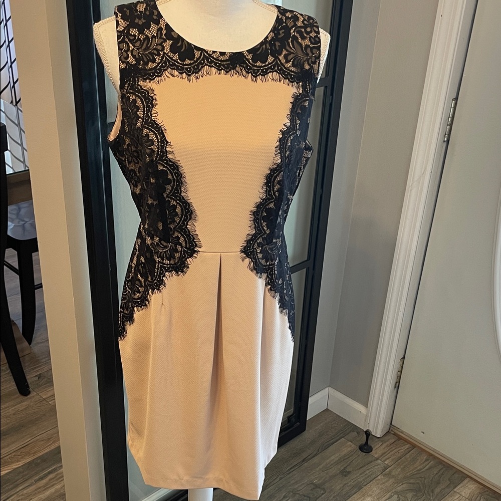 New With Tags…Boutique brand Esley…Sleeveless Lace Detail Dress…Size Large